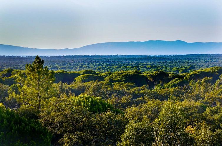 A Serenada Enoturismo