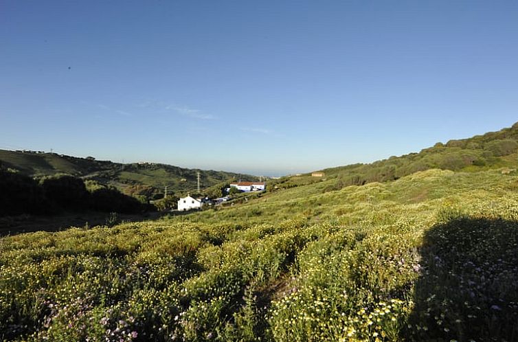 Vakantiehuisje in Tarifa