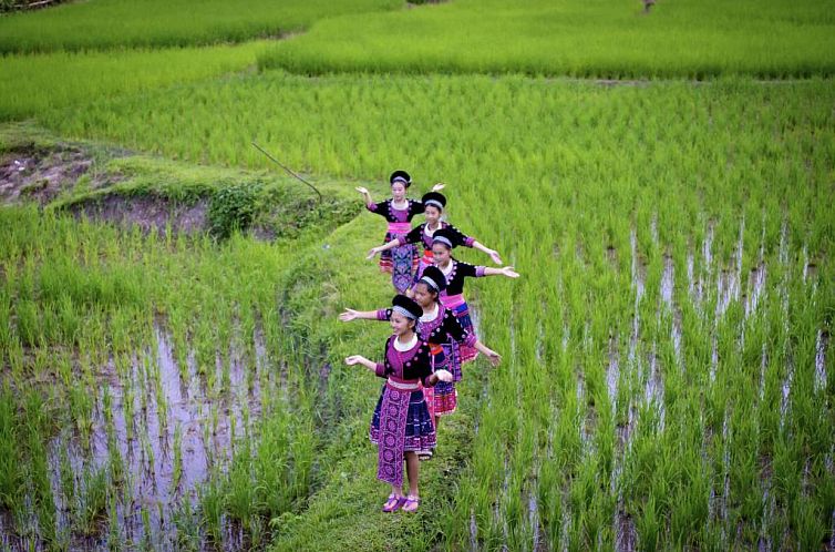 Hmong Hilltribe Lodge -SHA certified