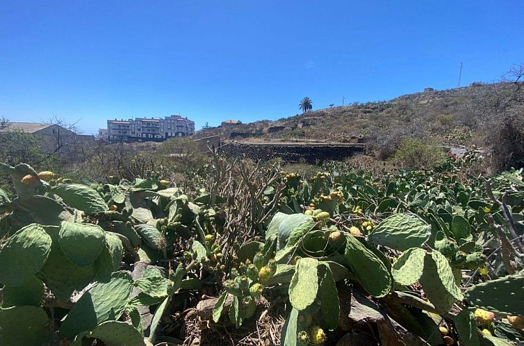 Kavel in Tenerife, Spanje