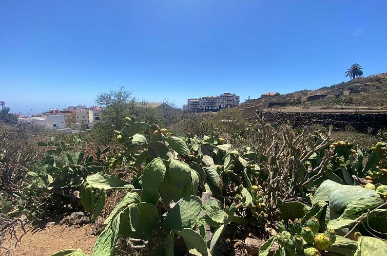 Kavel in Tenerife, Spanje