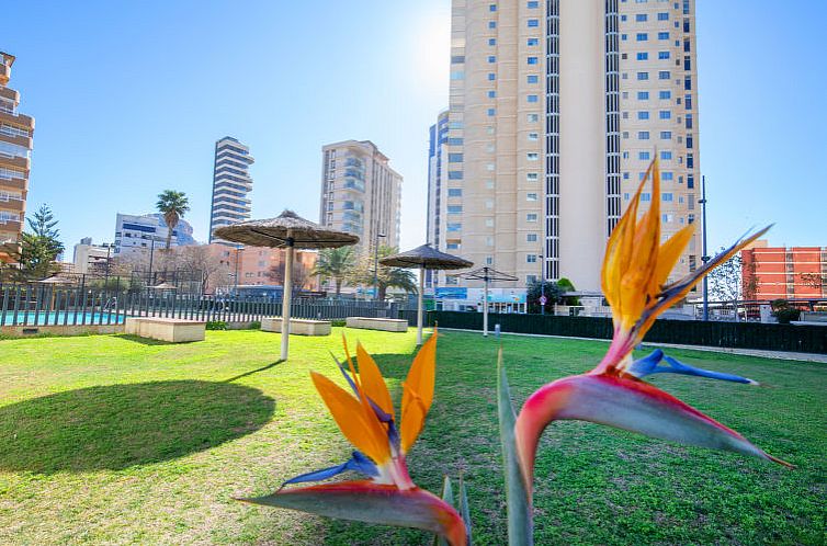 Appartement Mirador de Calpe