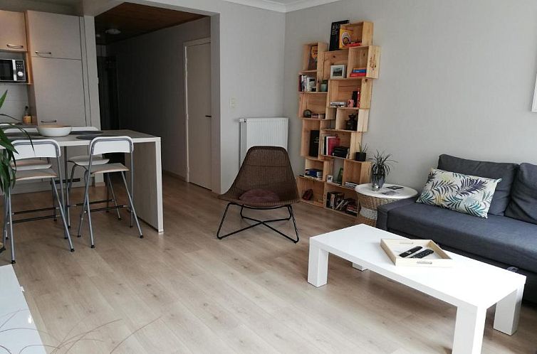 appartement oostende vlak bij zee