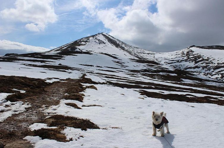 Cairngorm Lodge Youth Hostel