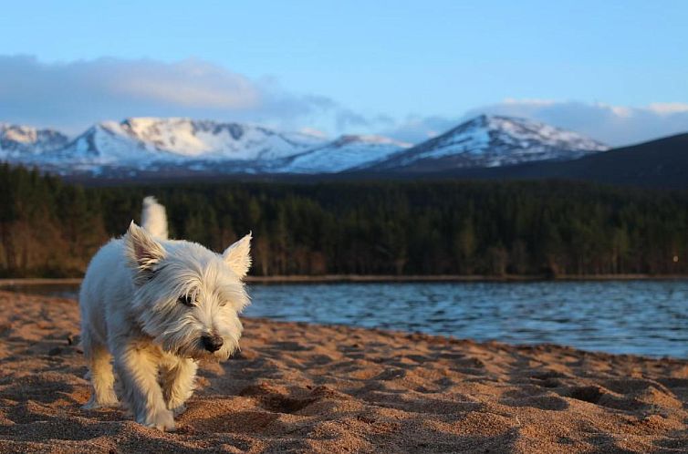 Cairngorm Lodge Youth Hostel