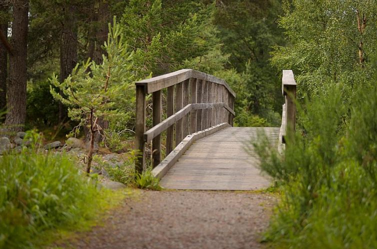 Cairngorm Lodge Youth Hostel