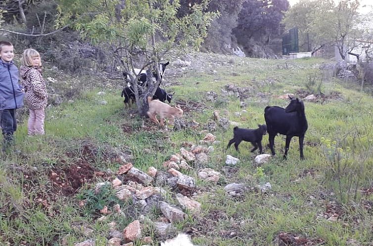 Vakantiehuisje in La Vall de Laguar