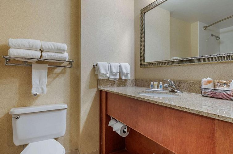 Comfort Inn Arlington Heights-OHare Airport