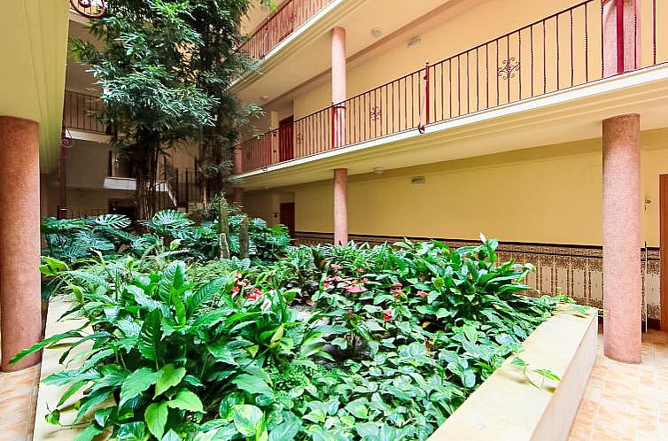 Appartement Playa Delicias