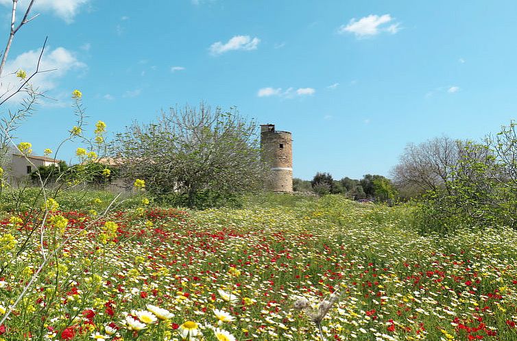 Vakantiehuis Pueblo