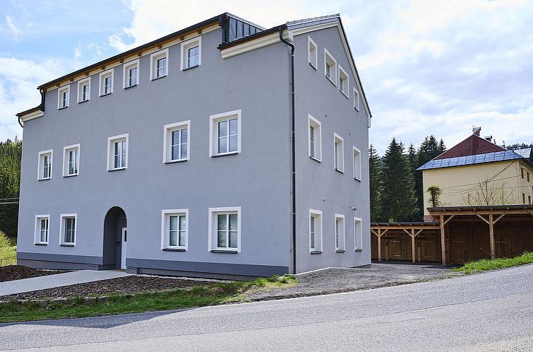 Appartement Kořenov 720