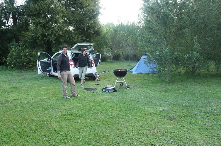 Fijnbosch Cottage and Camping