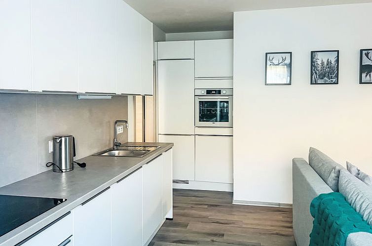 Appartement Černý Důl