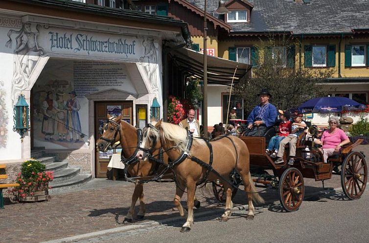 Hotel Schwarzwaldhof