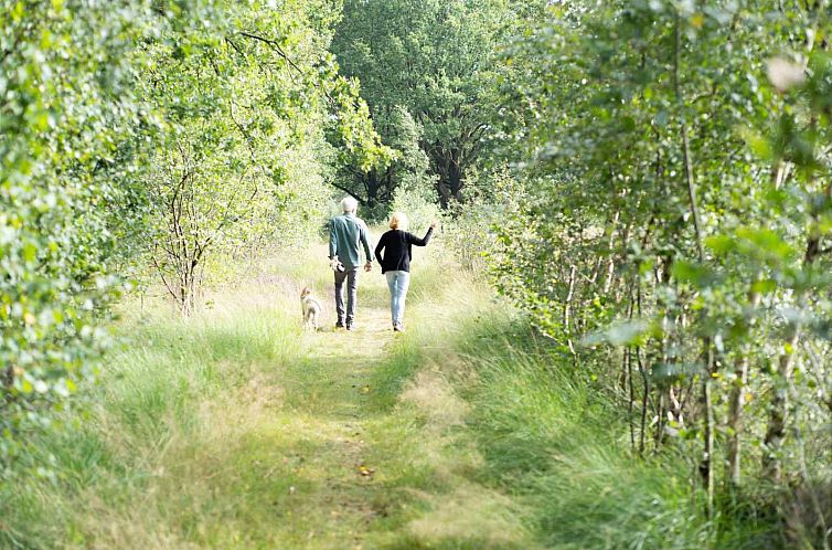 Mooi 12 persoons vakantiehuis midden in het bos in Drenthe