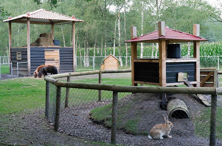 Mooi 12 persoons vakantiehuis midden in het bos in Drenthe