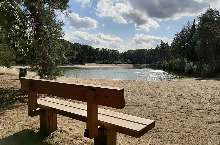 Mooi 12 persoons vakantiehuis midden in het bos in Drenthe