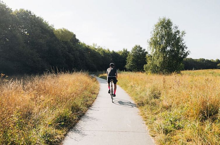 Vakantiehuisje in Drijber