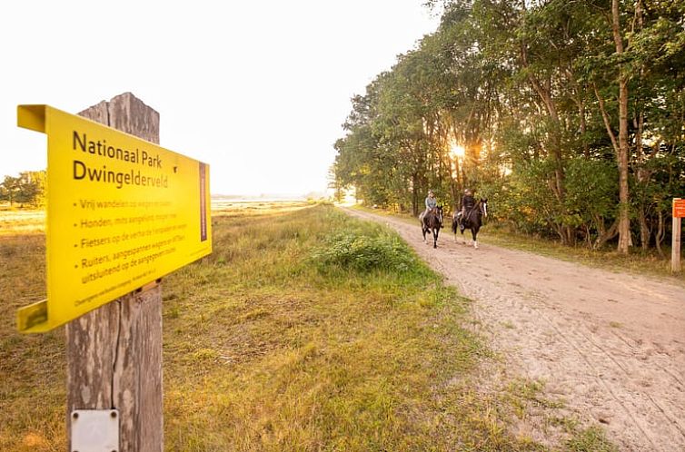 Vakantiehuisje in Drijber