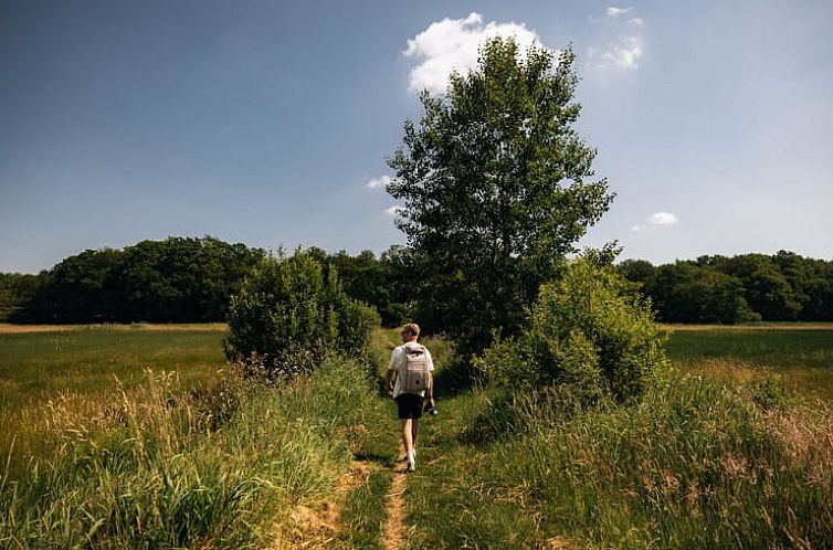 Vakantiehuisje in Drijber