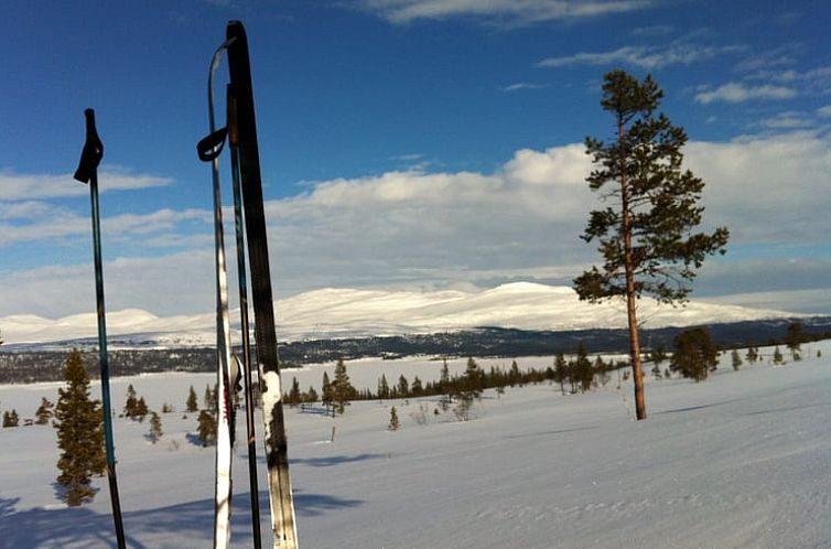 Huisje in Järpen