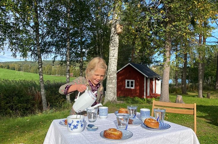 Vakantiehuisje in Gällö