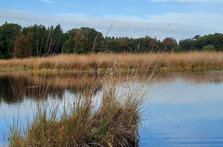 Vakantiehuis in De Kiel