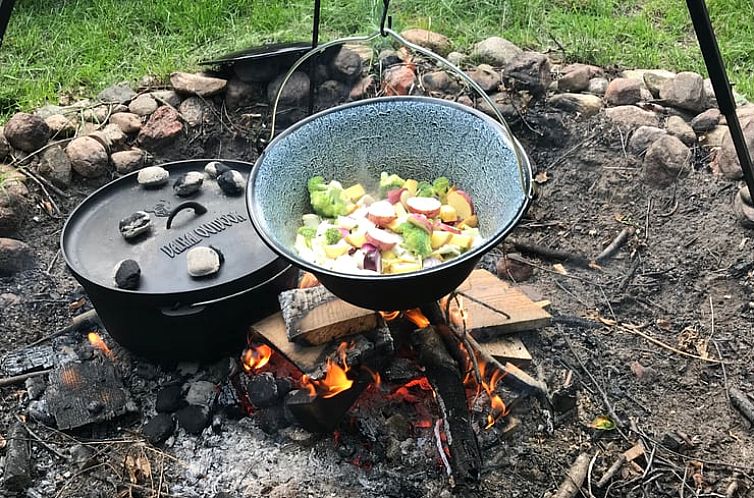 Huisje in Gasselte