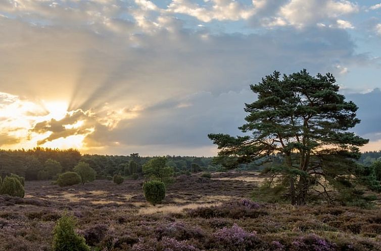 Vakantiehuisje in Gasselte