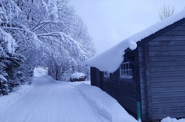 Vakantiehuisje in Höljes