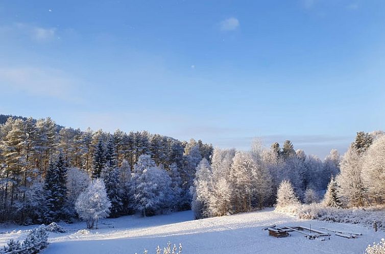 Vakantiehuisje in Höljes