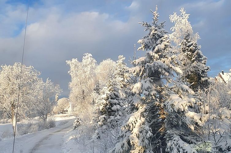 Vakantiehuisje in Höljes