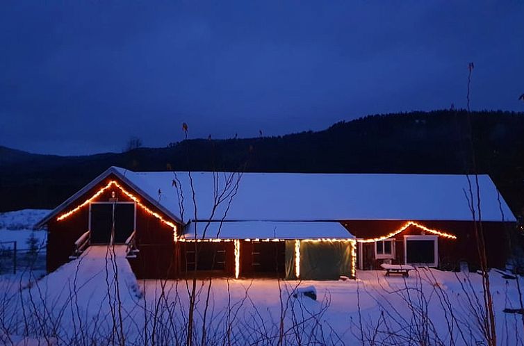 Vakantiehuisje in Höljes