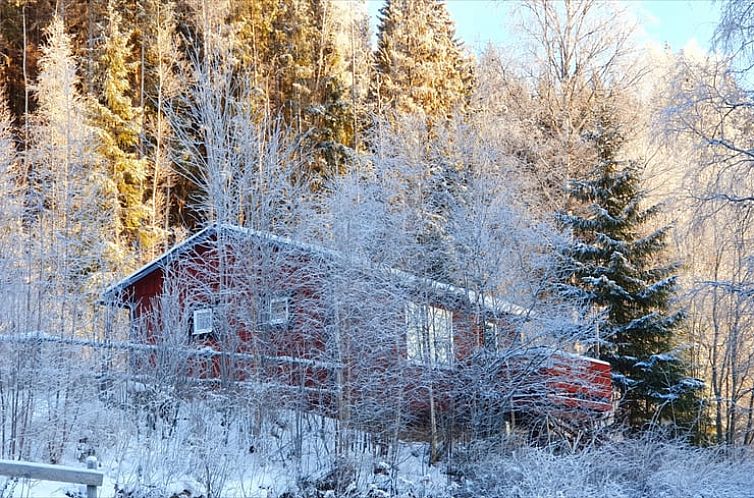 Vakantiehuis in Höljes