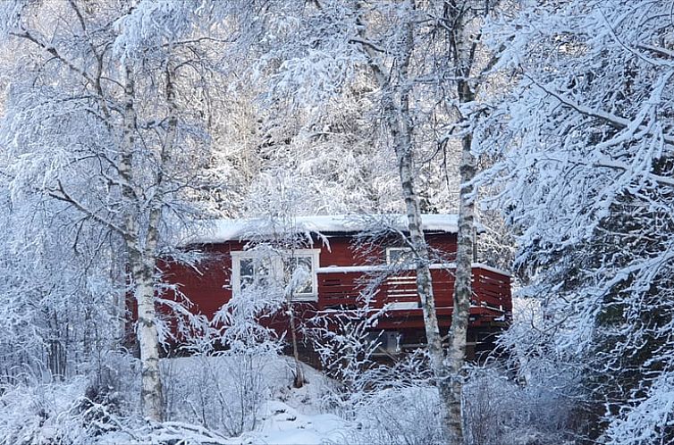 Vakantiehuis in Höljes