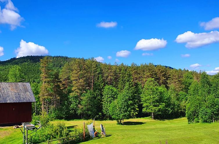 Vakantiehuisje in Höljes