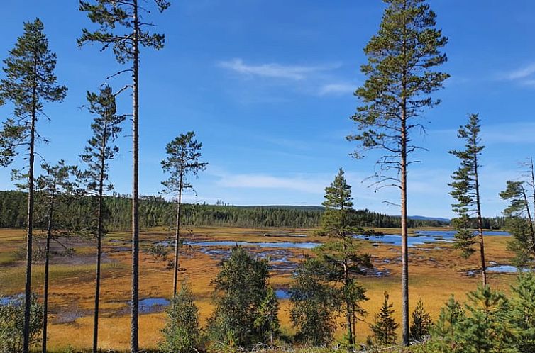 Vakantiehuisje in Höljes