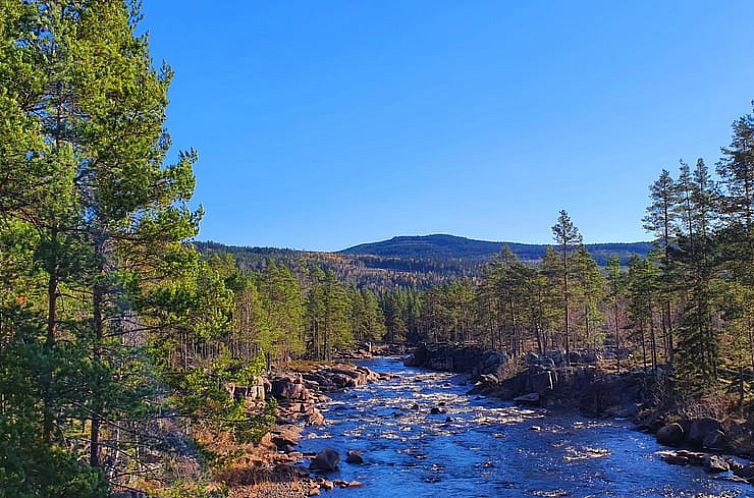 Vakantiehuisje in Höljes