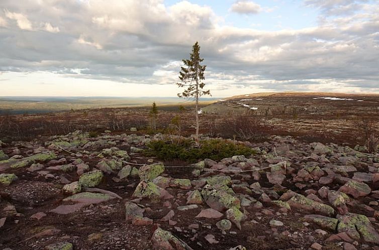 Vakantiehuisje in Särna