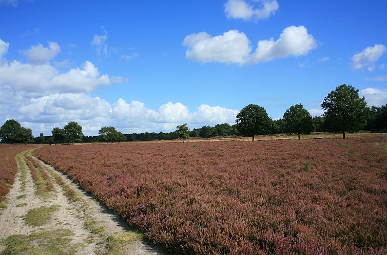 Landgoed Het Grote Zand 14