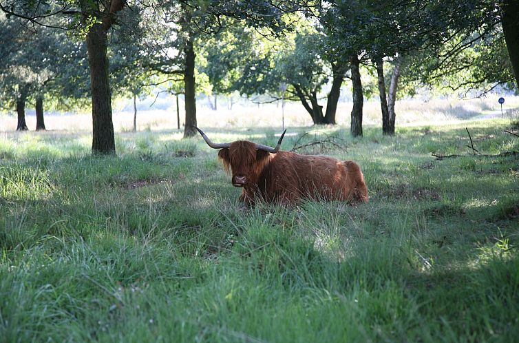 Landgoed Het Grote Zand 14