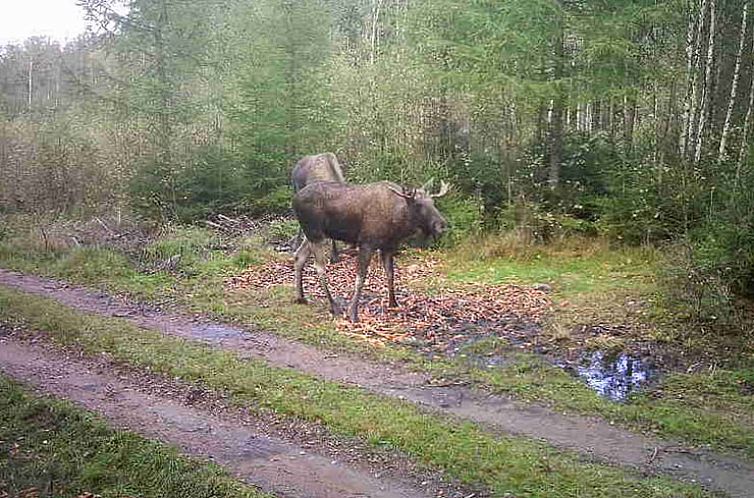 Huisje in Västra Torup