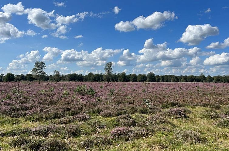 Vakantiehuisje in Eeserveen