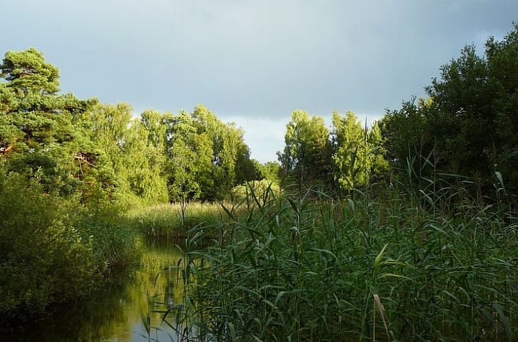 Vakantiehuisje in Markaryd