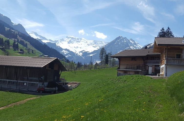 Appartement Chalet Wäschhüsi