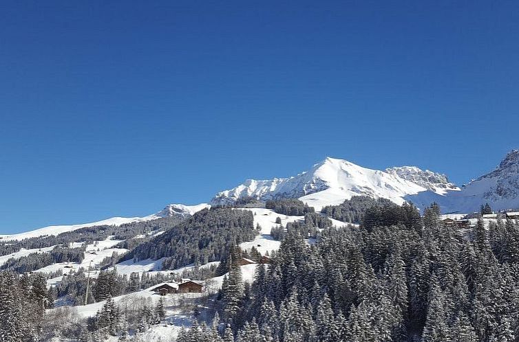 Appartement Chalet Wäschhüsi