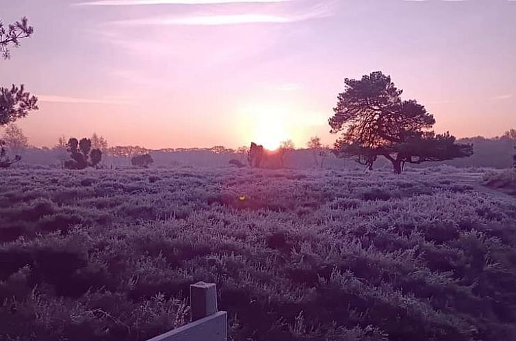 Vakantiehuisje in Zeegse