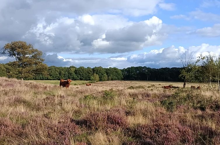 Vakantiehuisje in Zeegse