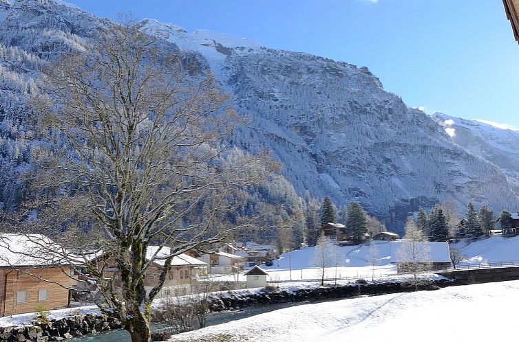 Appartement beim Ahorn