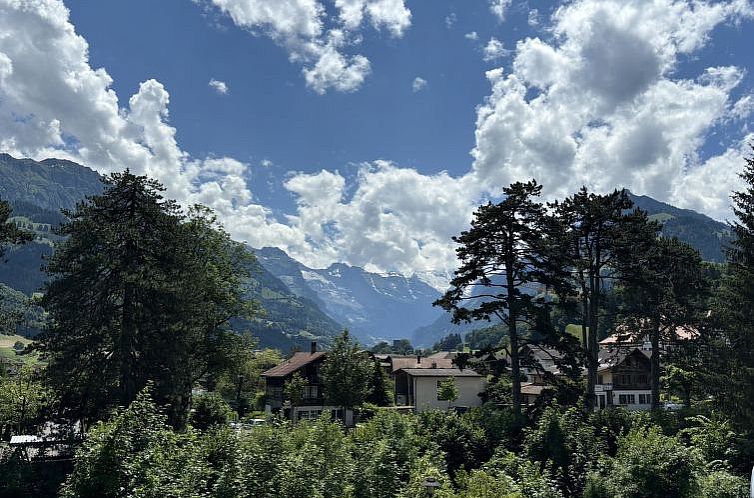 Appartement Mountain View